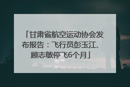 甘肃省航空运动协会发布报告：飞行员彭玉江、顾志敏停飞6个月