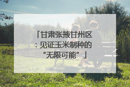 甘肃张掖甘州区：见证玉米制种的“无限可能”