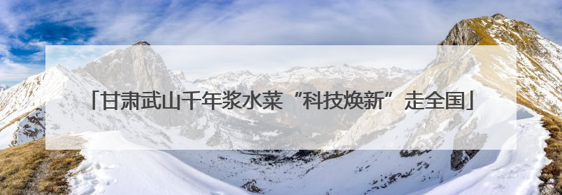 甘肃武山千年浆水菜“科技焕新”走全国