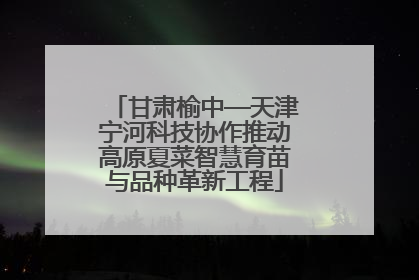 甘肃榆中—天津宁河科技协作推动高原夏菜智慧育苗与品种革新工程