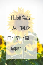 甘肃高台：从“风沙口”到“绿屏障”