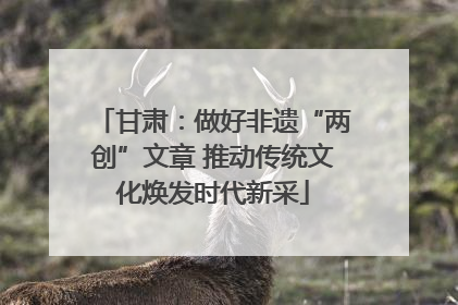 甘肃：做好非遗“两创”文章 推动传统文化焕发时代新采