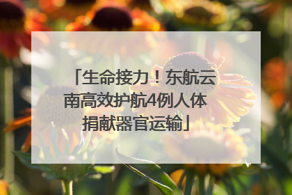 生命接力！东航云南高效护航4例人体捐献器官运输