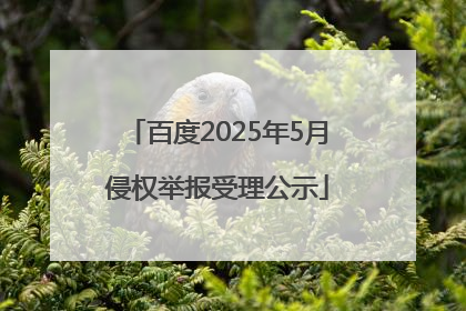 百度2025年5月侵权举报受理公示