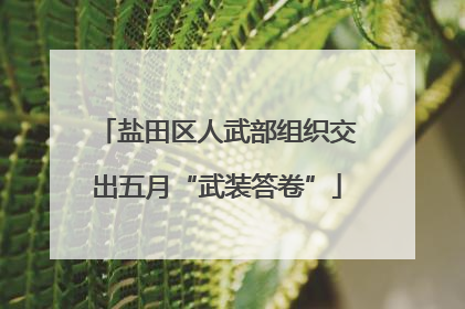 盐田区人武部组织交出五月“武装答卷”