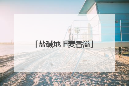 盐碱地上麦香溢