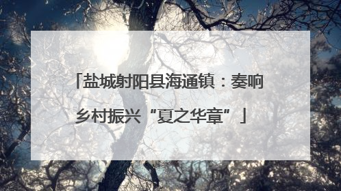盐城射阳县海通镇：奏响乡村振兴“夏之华章”