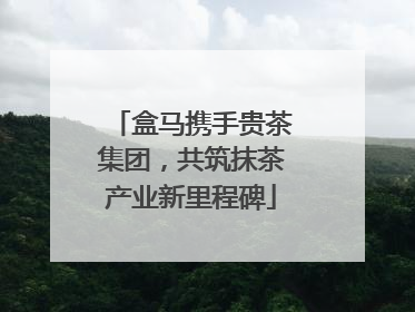 盒马携手贵茶集团，共筑抹茶产业新里程碑