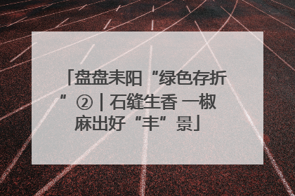 盘盘耒阳“绿色存折”②｜石缝生香 一椒麻出好“丰”景