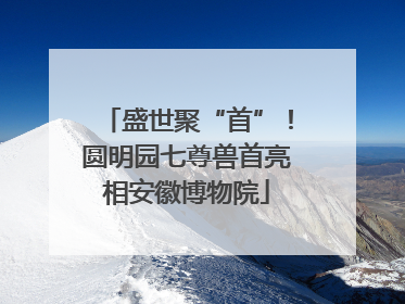 盛世聚“首”！圆明园七尊兽首亮相安徽博物院