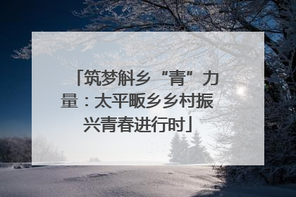 筑梦斛乡“青”力量：太平畈乡乡村振兴青春进行时