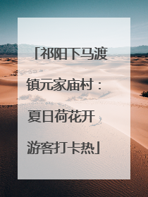 祁阳下马渡镇元家庙村：夏日荷花开 游客打卡热