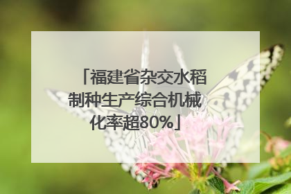 福建省杂交水稻制种生产综合机械化率超80%