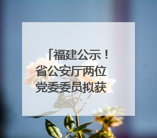福建公示！省公安厅两位党委委员拟获提拔任用