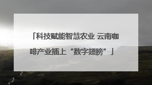 科技赋能智慧农业 云南咖啡产业插上“数字翅膀”
