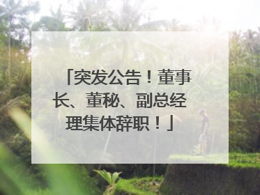 突发公告！董事长、董秘、副总经理集体辞职！