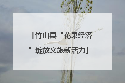 竹山县“花果经济”绽放文旅新活力