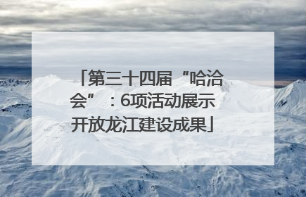 第三十四届“哈洽会”：6项活动展示开放龙江建设成果
