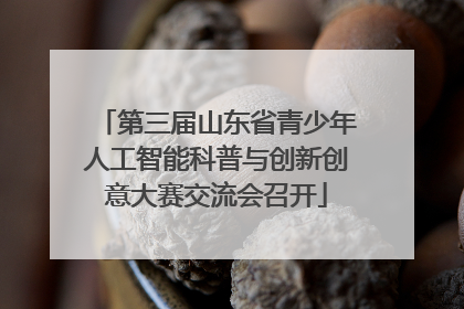 第三届山东省青少年人工智能科普与创新创意大赛交流会召开