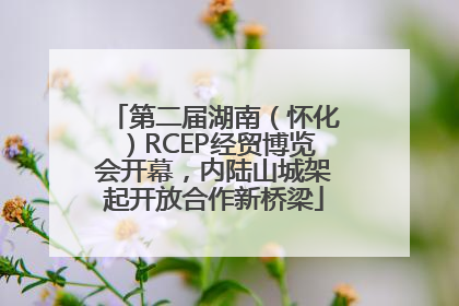 第二届湖南（怀化）RCEP经贸博览会开幕，内陆山城架起开放合作新桥梁