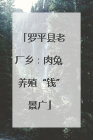 罗平县老厂乡：肉兔养殖“钱”景广