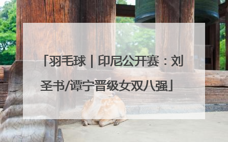 羽毛球｜印尼公开赛：刘圣书/谭宁晋级女双八强