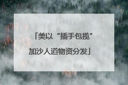 美以“插手包揽”加沙人道物资分发