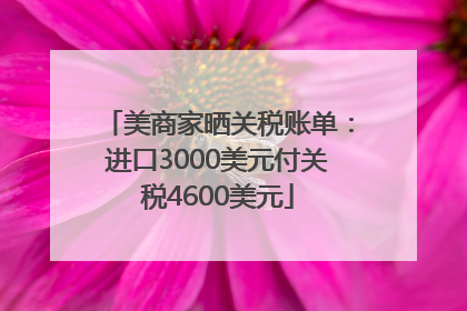 美商家晒关税账单：进口3000美元付关税4600美元