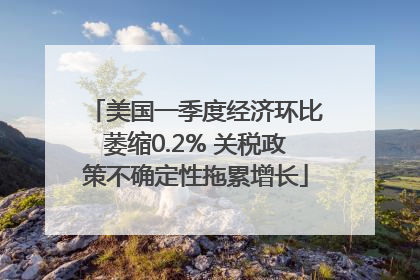 美国一季度经济环比萎缩0.2% 关税政策不确定性拖累增长