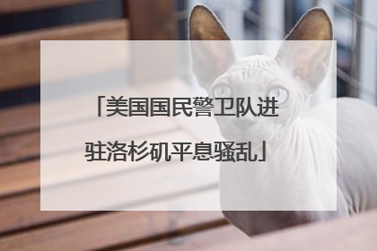 美国国民警卫队进驻洛杉矶平息骚乱