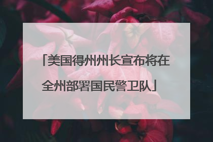 美国得州州长宣布将在全州部署国民警卫队