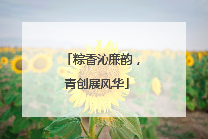 粽香沁廉韵，青创展风华