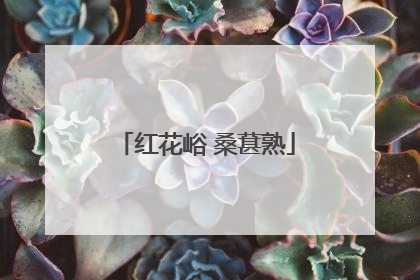 红花峪 桑葚熟