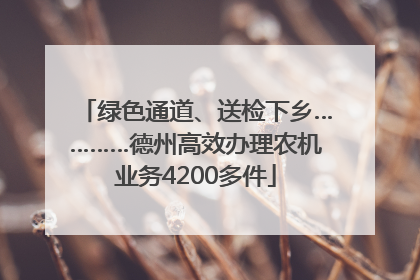 绿色通道、送检下乡…………德州高效办理农机业务4200多件