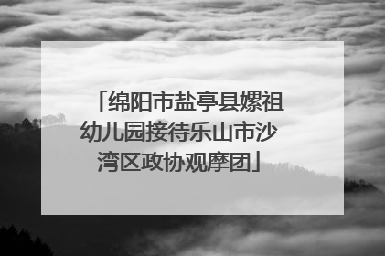 绵阳市盐亭县嫘祖幼儿园接待乐山市沙湾区政协观摩团