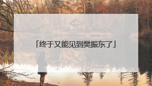 终于又能见到樊振东了