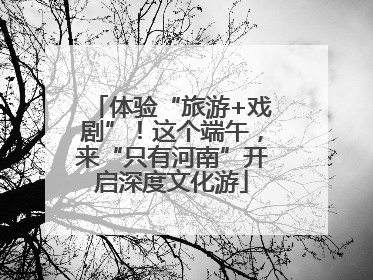 体验“旅游+戏剧”！这个端午，来“只有河南”开启深度文化游