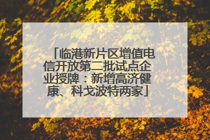 临港新片区增值电信开放第二批试点企业授牌：新增高济健康、科戈波特两家