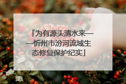 为有源头清水来——忻州市汾河流域生态修复保护纪实