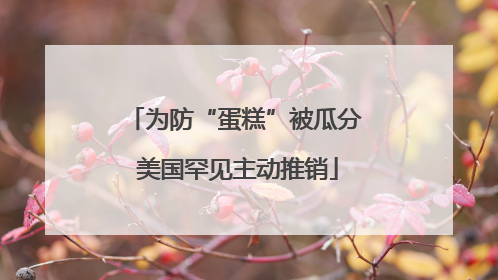 为防“蛋糕”被瓜分 美国罕见主动推销