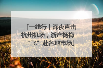 一线行丨深夜直击杭州机场，浙产杨梅“飞”赴各地市场