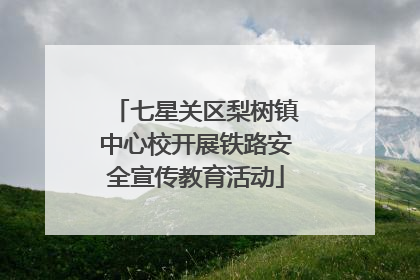 七星关区梨树镇中心校开展铁路安全宣传教育活动