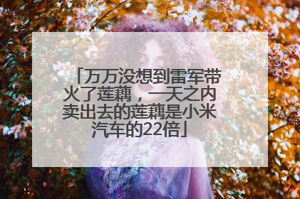 万万没想到雷军带火了莲藕，一天之内卖出去的莲藕是小米汽车的22倍