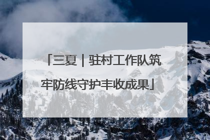 三夏｜驻村工作队筑牢防线守护丰收成果