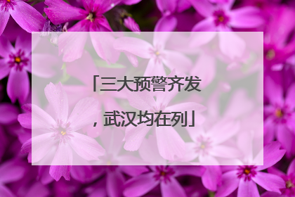 三大预警齐发，武汉均在列