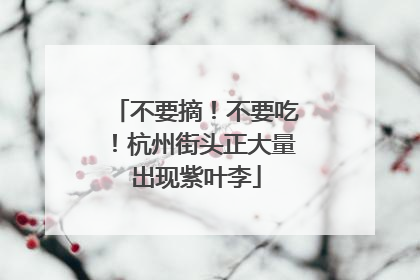 不要摘！不要吃！杭州街头正大量出现紫叶李