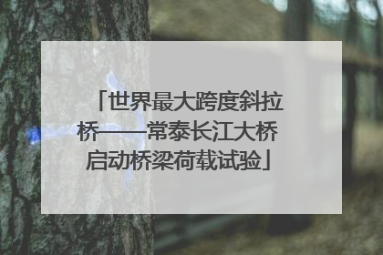 世界最大跨度斜拉桥——常泰长江大桥启动桥梁荷载试验