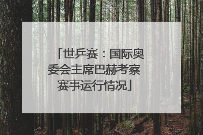 世乒赛：国际奥委会主席巴赫考察赛事运行情况