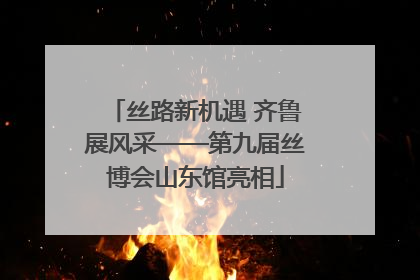 丝路新机遇 齐鲁展风采——第九届丝博会山东馆亮相