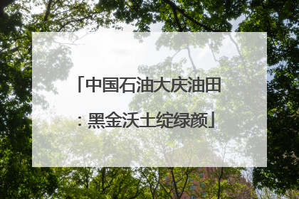 中国石油大庆油田：黑金沃土绽绿颜
